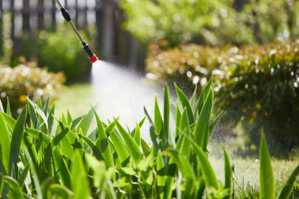 Tamper-Resistant Bait Stations for Rodents in Wilton Center