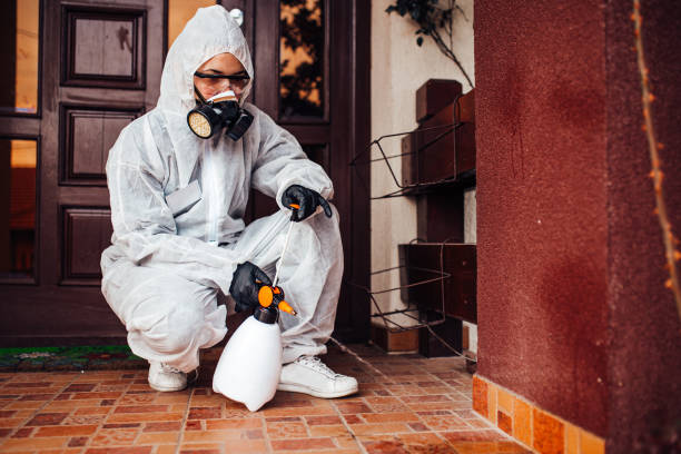 Attic and Crawl Space Rodent Treatment in Wilton Center