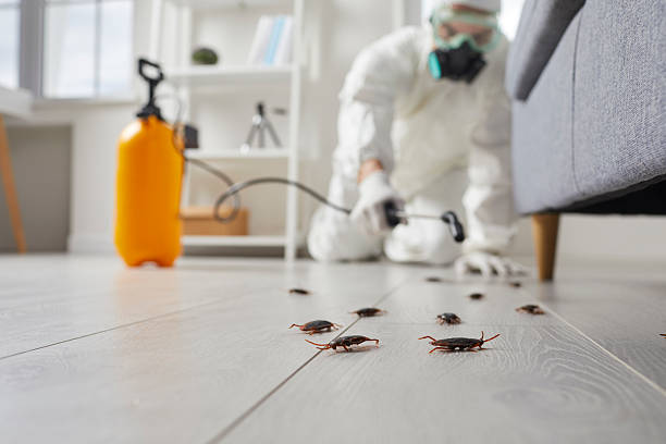 Commercial Rodent Management in Wilton Center